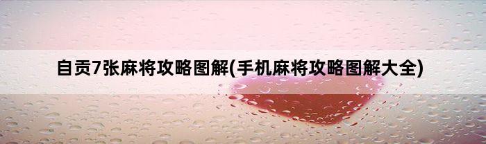 自贡7张麻将攻略图解(手机麻将攻略图解大全)