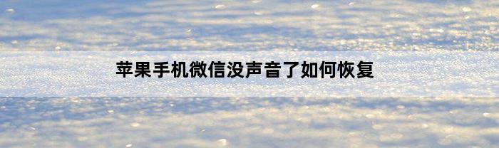 苹果手机微信没声音了如何恢复