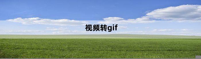 视频转gif