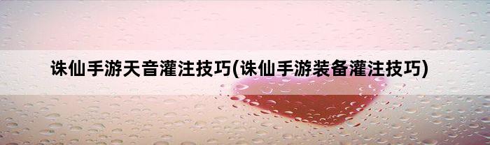 诛仙手游天音灌注技巧(诛仙手游装备灌注技巧)