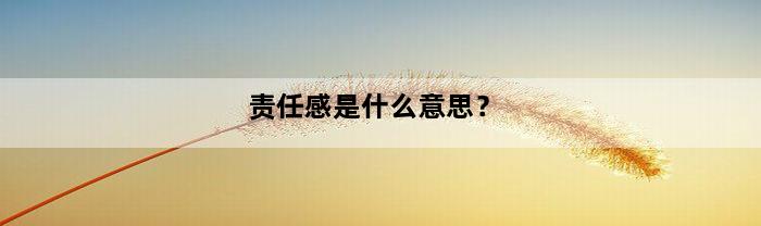 责任感是什么意思？