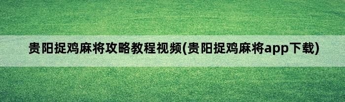 贵阳捉鸡麻将攻略教程视频(贵阳捉鸡麻将app下载)