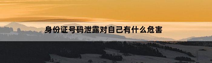 身份证号码泄露对自己有什么危害