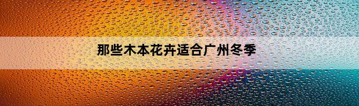 那些木本花卉适合广州冬季