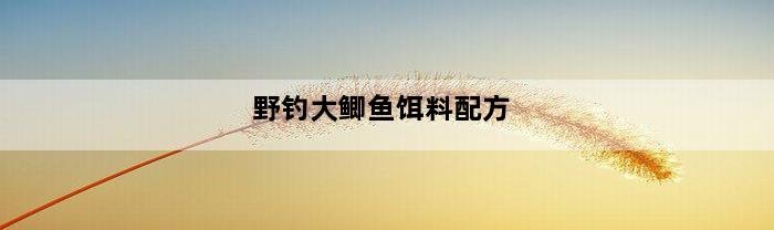 野钓大鲫鱼饵料配方