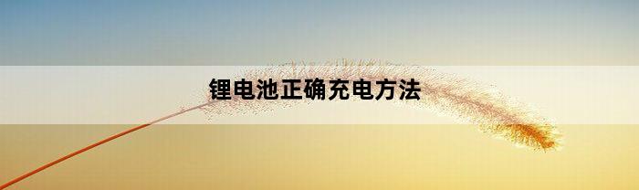 锂电池正确充电方法