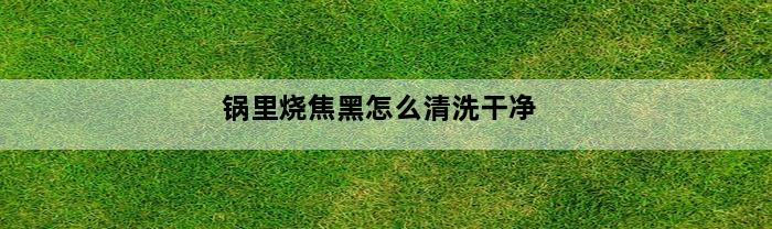 锅里烧焦黑怎么清洗干净