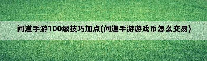 问道手游100级技巧加点(问道手游游戏币怎么交易)