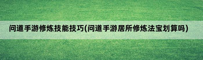 问道手游修炼技能技巧(问道手游居所修炼法宝划算吗)