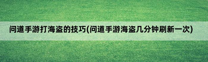 问道手游打海盗的技巧(问道手游海盗几分钟刷新一次)