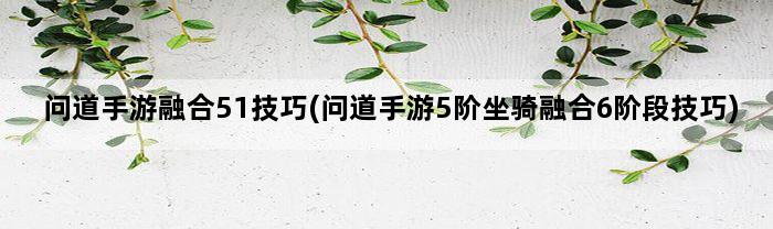 问道手游融合51技巧(问道手游5阶坐骑融合6阶段技巧)