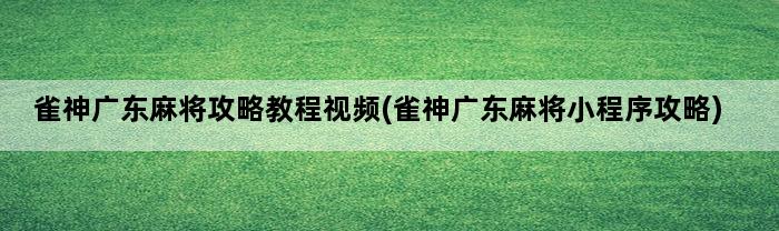 雀神广东麻将攻略教程视频(雀神广东麻将小程序攻略)