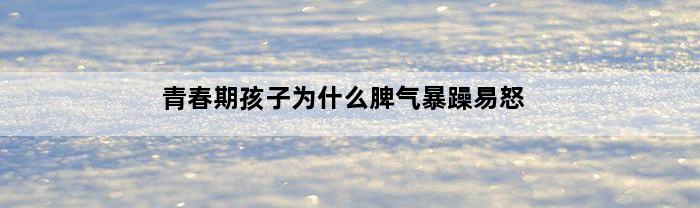 青春期孩子为什么脾气暴躁易怒