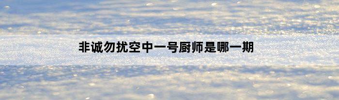 非诚勿扰空中一号厨师是哪一期