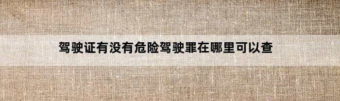 驾驶证有没有危险驾驶罪在哪里可以查