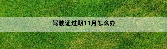 驾驶证过期11月怎么办