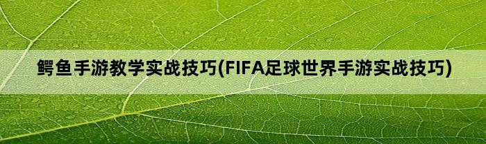 鳄鱼手游教学实战技巧(FIFA足球世界手游实战技巧)