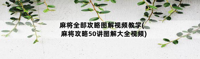 麻将全部攻略图解视频教学(麻将攻略50讲图解大全视频)