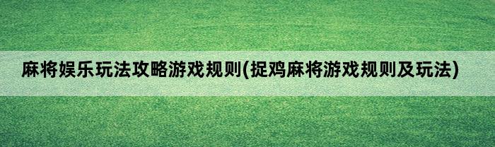 麻将娱乐玩法攻略游戏规则(捉鸡麻将游戏规则及玩法)