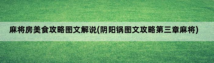 麻将房美食攻略图文解说(阴阳锅图文攻略第三章麻将)