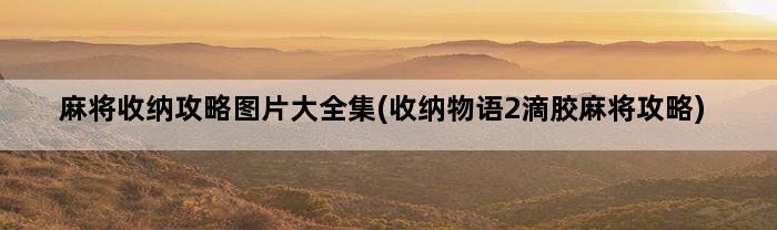 麻将收纳攻略图片大全集(收纳物语2滴胶麻将攻略)