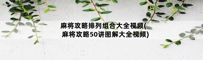 麻将攻略排列组合大全视频(麻将攻略50讲图解大全视频)