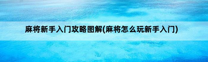 麻将新手入门攻略图解(麻将怎么玩新手入门)