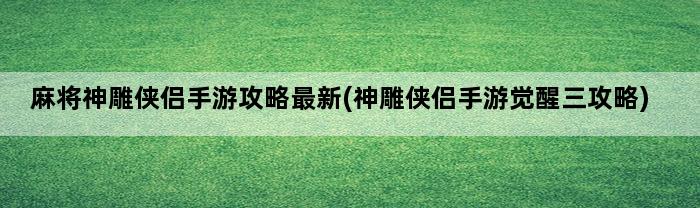 麻将神雕侠侣手游攻略最新(神雕侠侣手游觉醒三攻略)