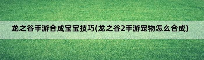 龙之谷手游合成宝宝技巧(龙之谷2手游宠物怎么合成)