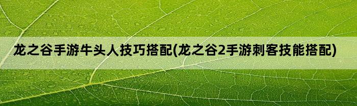 龙之谷手游牛头人技巧搭配(龙之谷2手游刺客技能搭配)